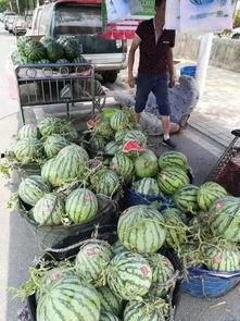 柯桥最近吃瓜事件 第2张 柯桥最近吃瓜事件 第2张